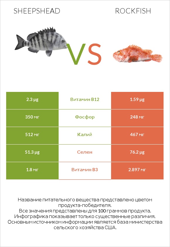 Sheepshead vs Rockfish infographic