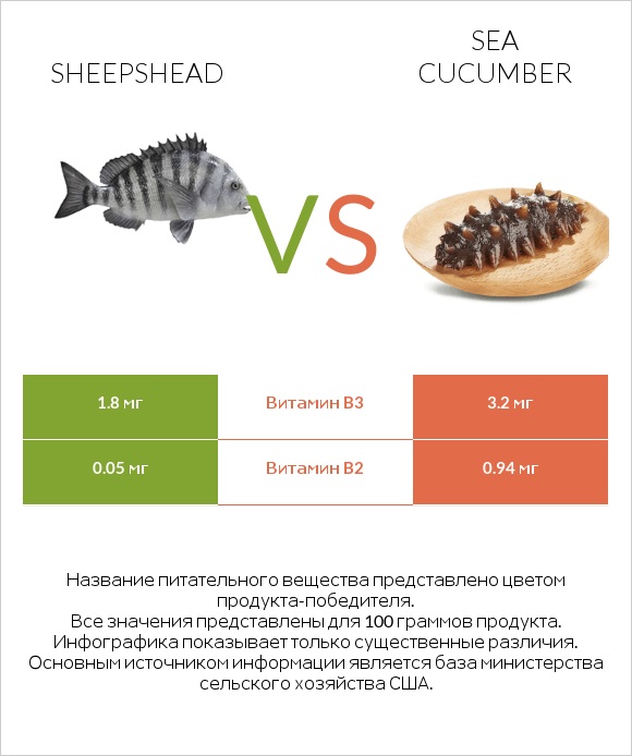 Sheepshead vs Sea cucumber infographic