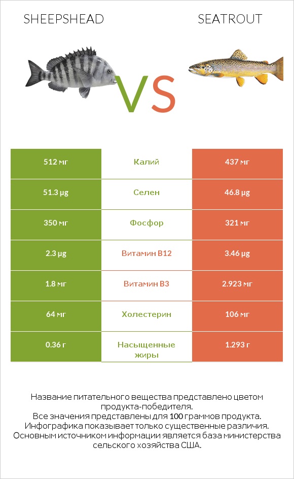 Sheepshead vs Seatrout infographic