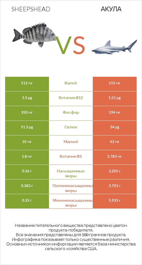 Sheepshead vs Акула infographic