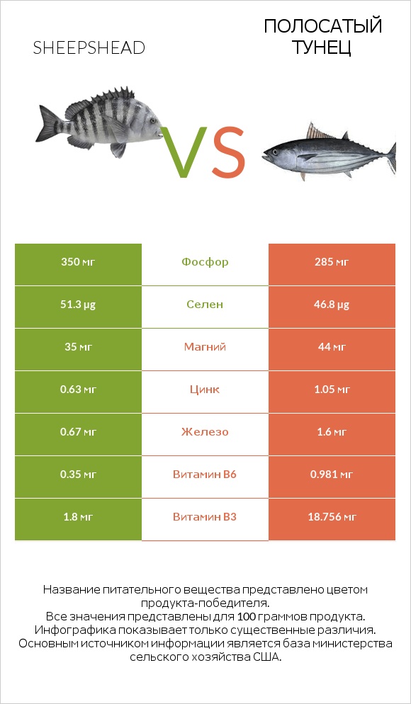 Sheepshead vs Полосатый тунец infographic