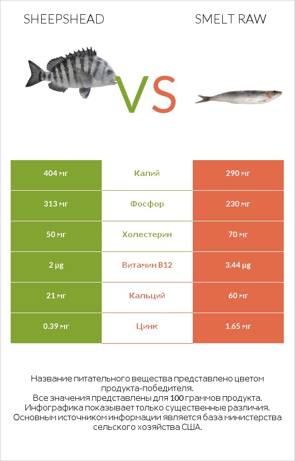 Sheepshead vs Smelt raw infographic