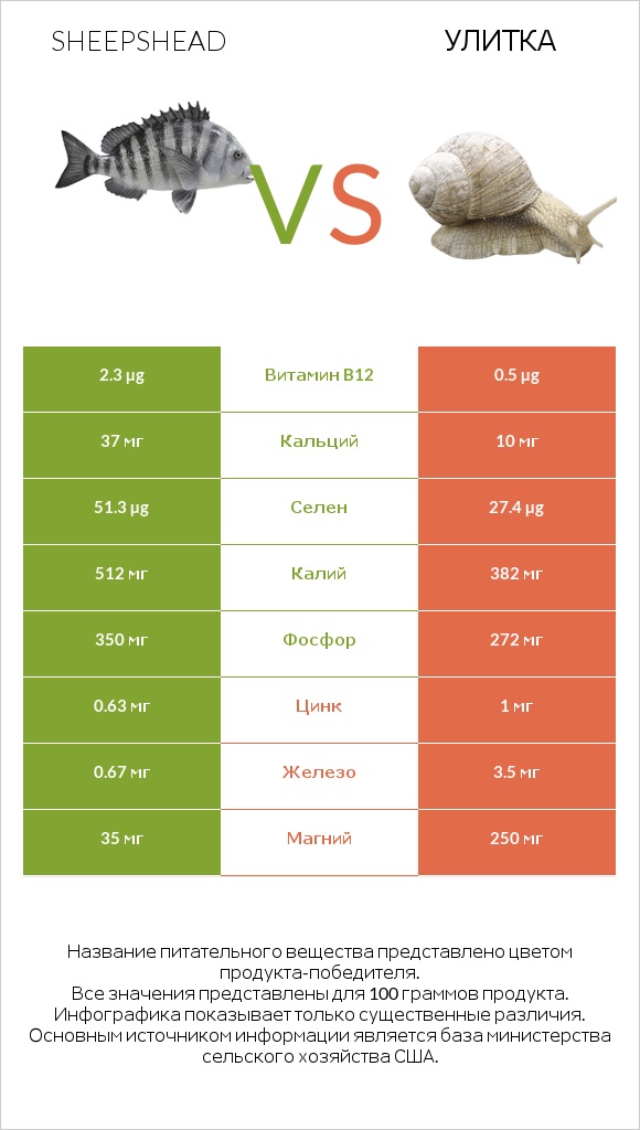 Sheepshead vs Улитка infographic