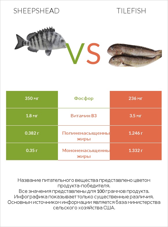 Sheepshead vs Tilefish infographic