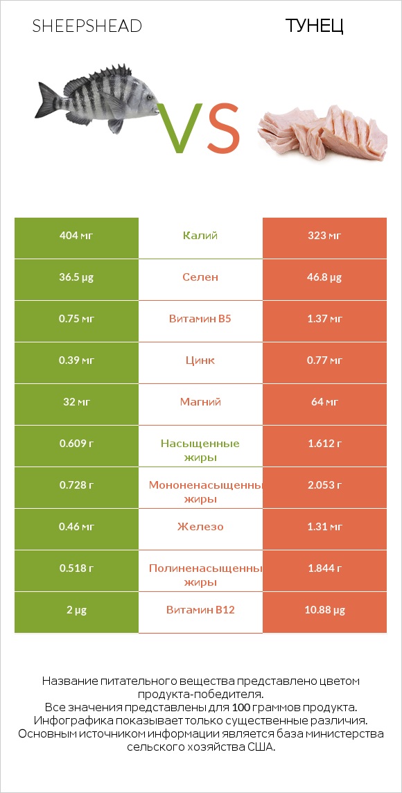 Sheepshead vs Тунец infographic
