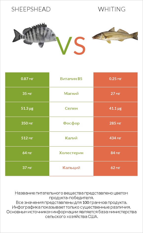 Sheepshead vs Whiting infographic