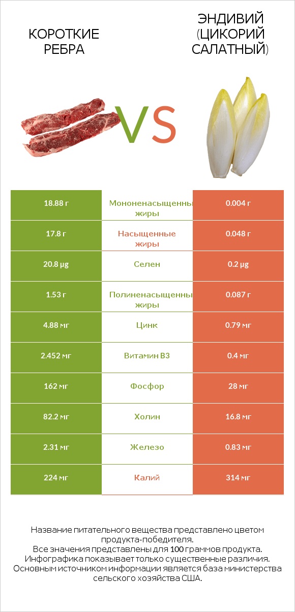 Короткие ребра vs Эндивий (Цикорий салатный)  infographic