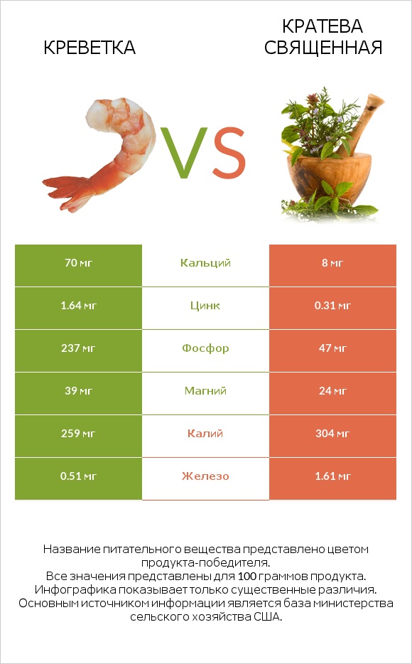 Креветка vs Кратева священная infographic