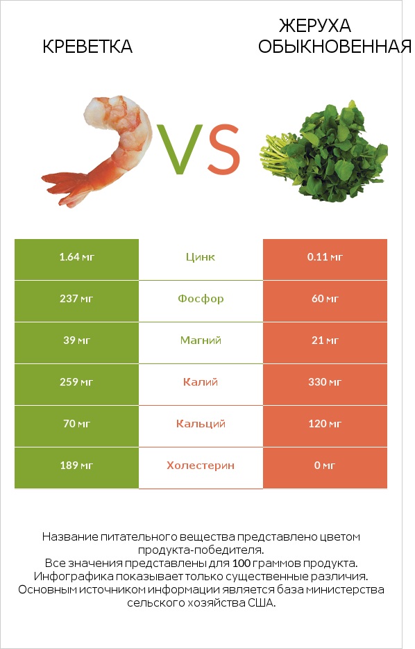 Креветка vs Жеруха обыкновенная infographic