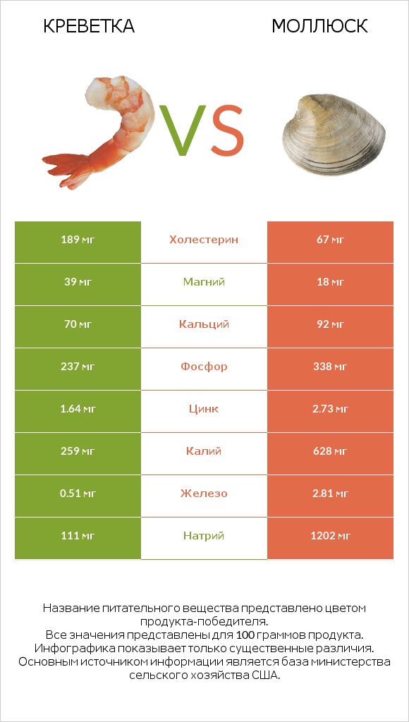 Креветка vs Моллюск infographic
