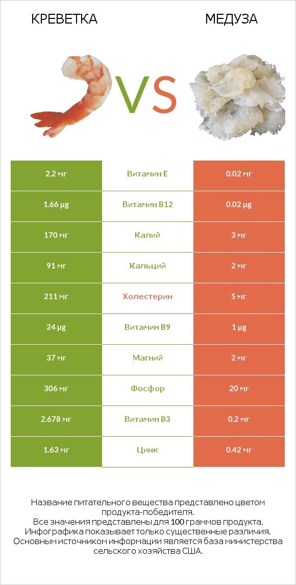 Креветка vs Медуза infographic