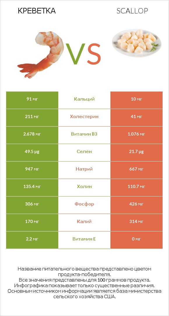 Креветка vs Scallop infographic