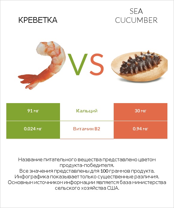 Креветка vs Sea cucumber infographic