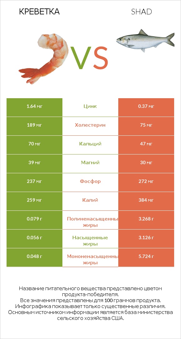 Креветка vs Shad infographic