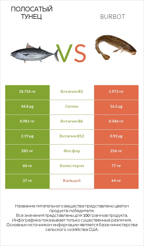 Полосатый тунец vs Burbot infographic