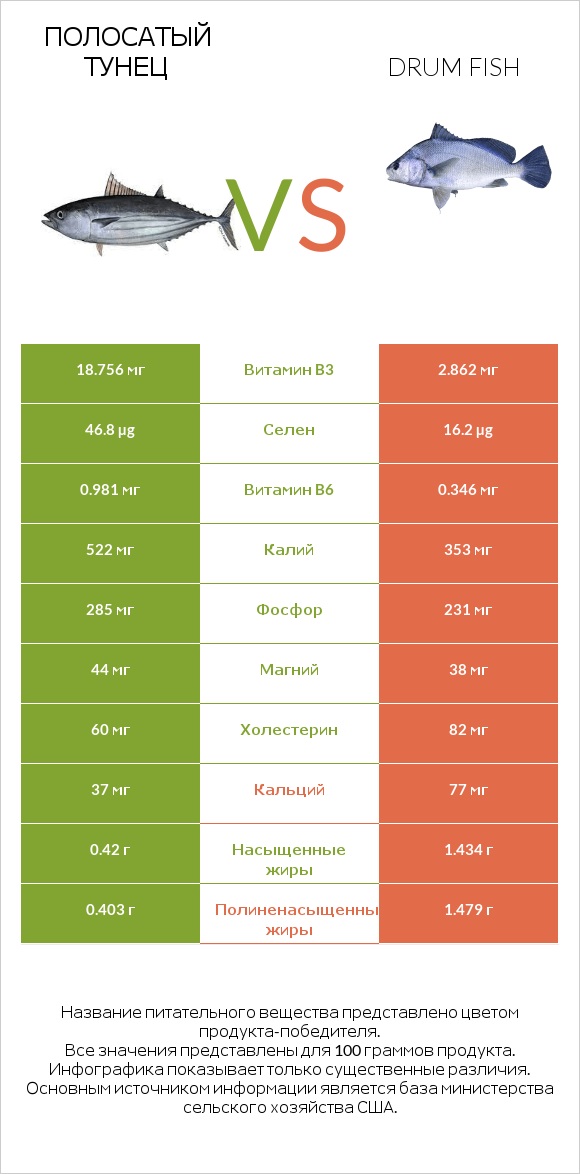 Полосатый тунец vs Drum fish infographic