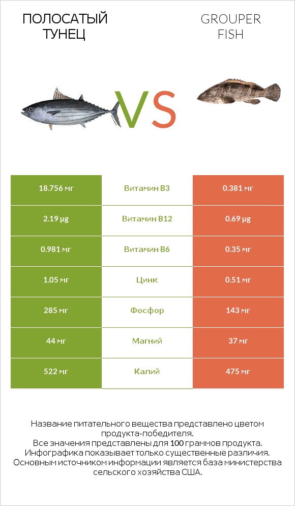 Полосатый тунец vs Grouper fish infographic