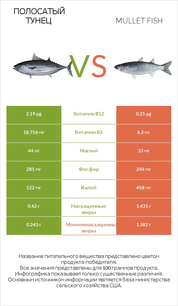 Полосатый тунец vs Mullet fish infographic