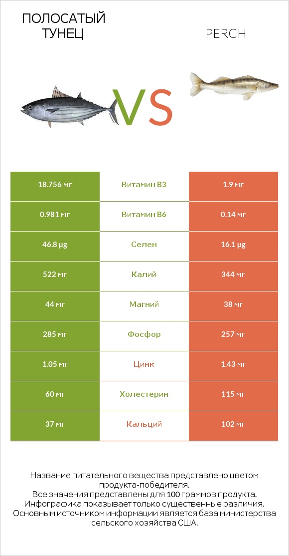 Полосатый тунец vs Perch infographic