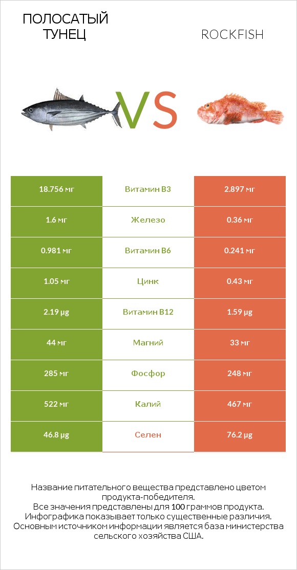 Полосатый тунец vs Rockfish infographic