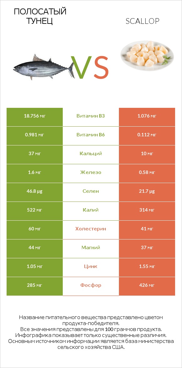 Полосатый тунец vs Scallop infographic