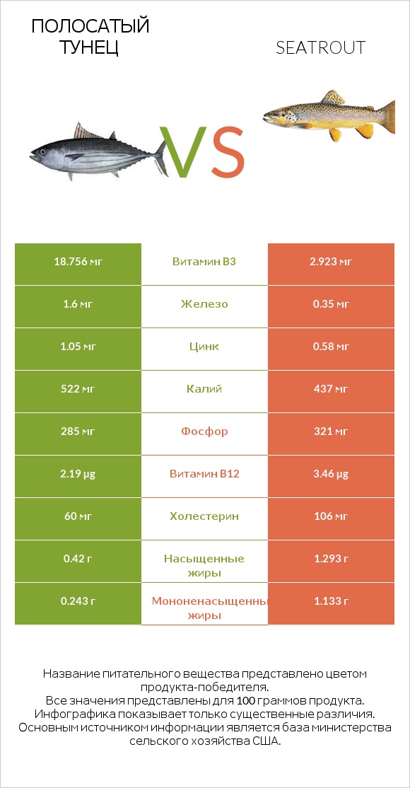 Полосатый тунец vs Seatrout infographic