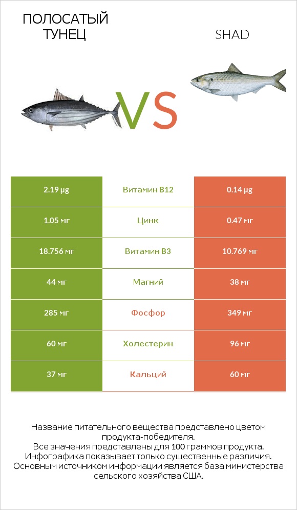 Полосатый тунец vs Shad infographic