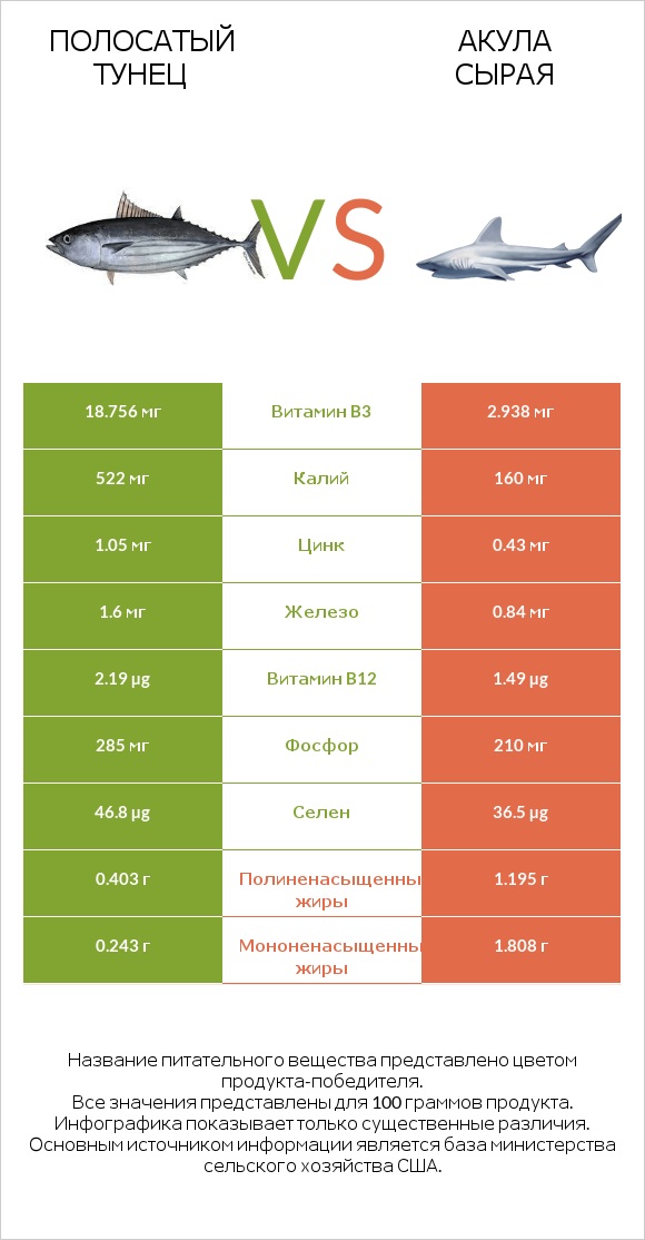 Полосатый тунец vs Акула сырая infographic