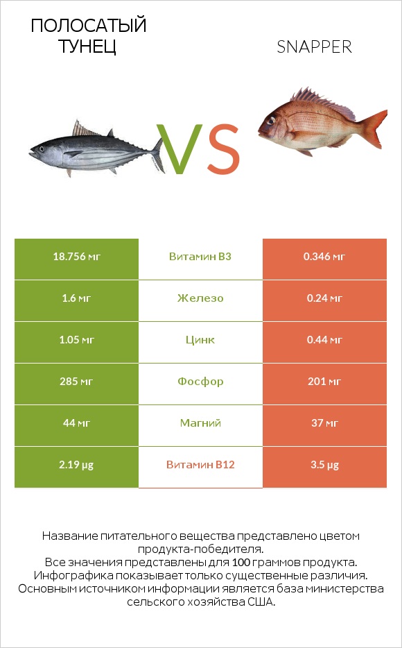 Полосатый тунец vs Snapper infographic