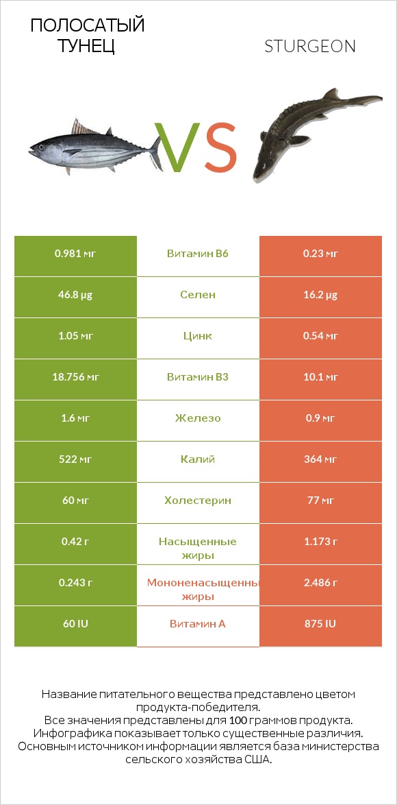 Полосатый тунец vs Sturgeon infographic