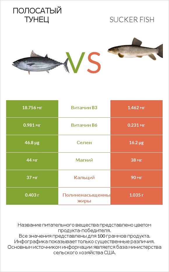 Полосатый тунец vs Sucker fish infographic