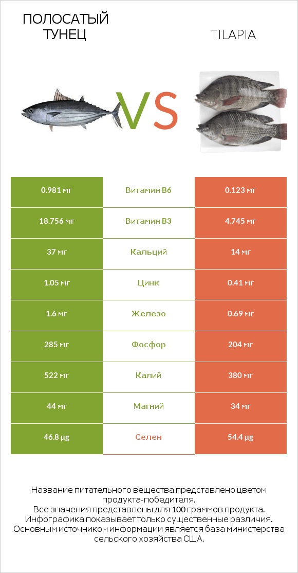 Полосатый тунец vs Tilapia infographic