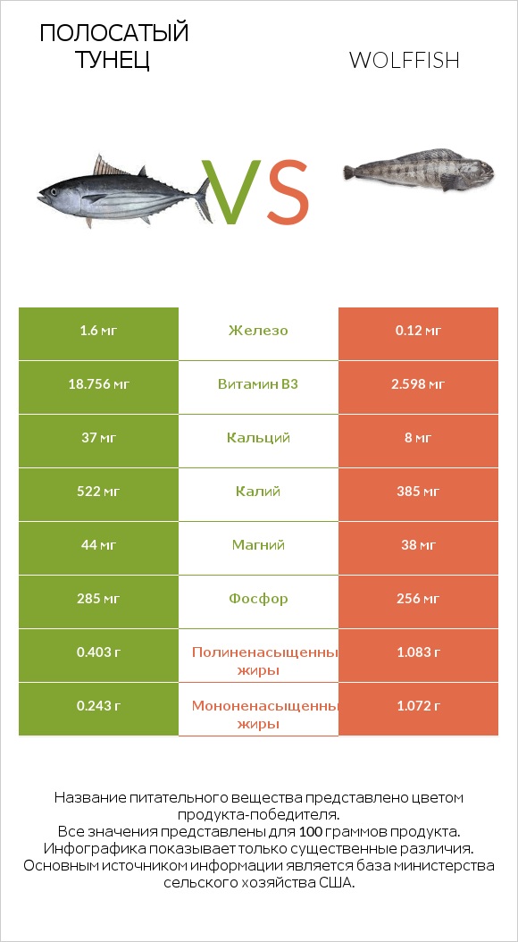 Полосатый тунец vs Wolffish infographic