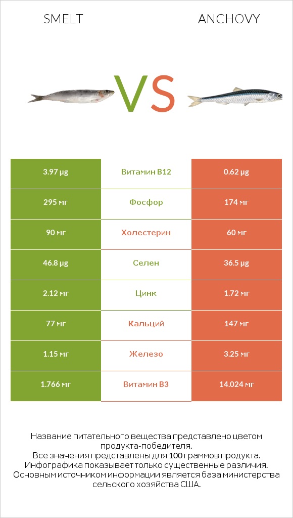 Smelt vs Anchovy infographic