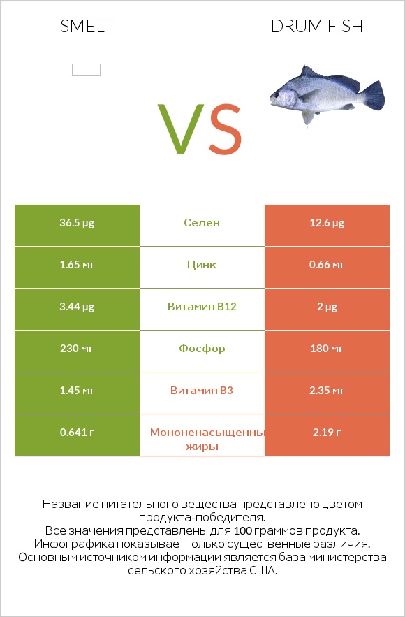 Smelt vs Drum fish infographic