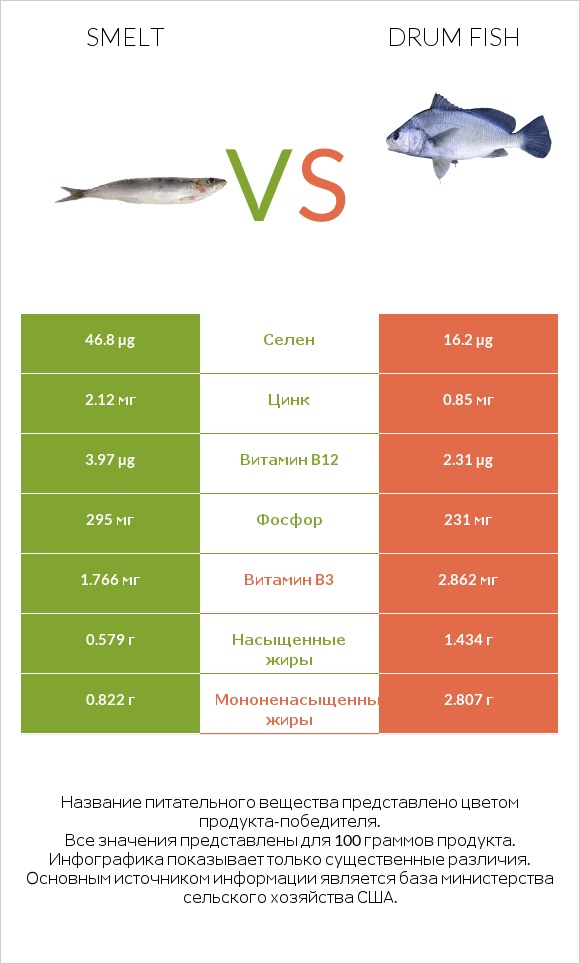 Smelt vs Drum fish infographic