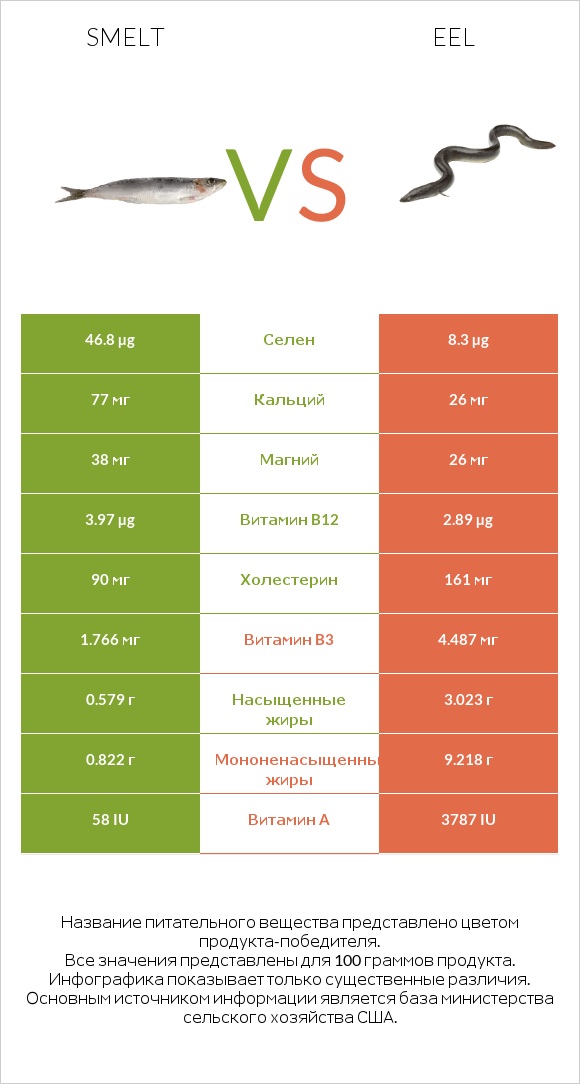 Smelt vs Eel infographic