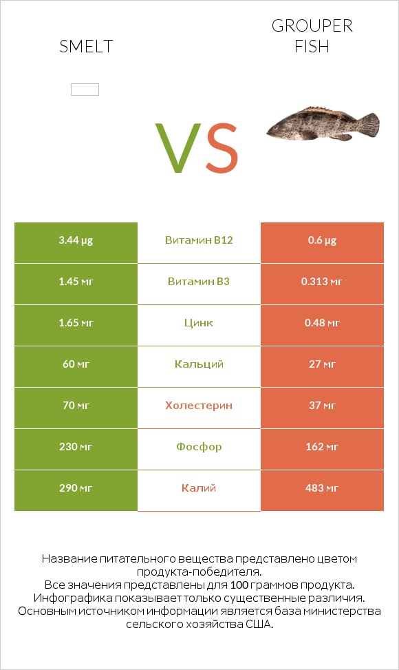 Smelt vs Grouper fish infographic