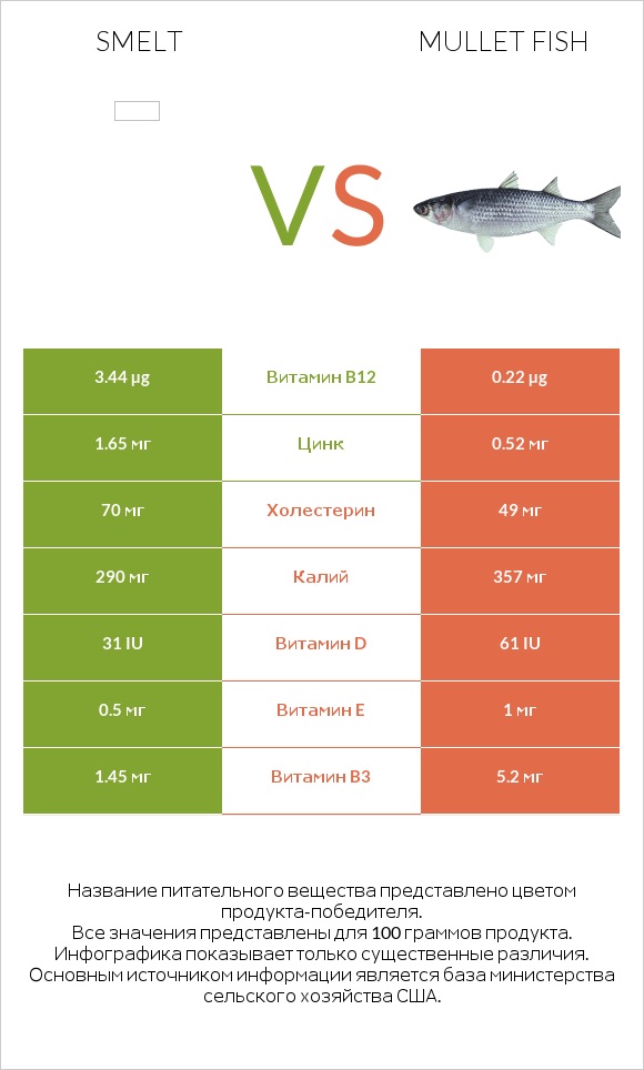 Smelt vs Mullet fish infographic