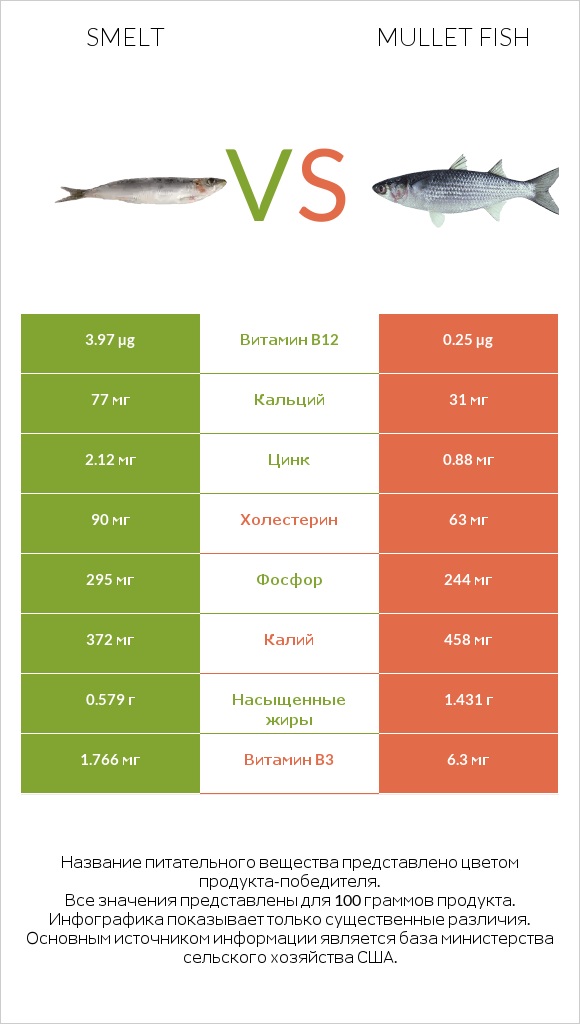 Smelt vs Mullet fish infographic