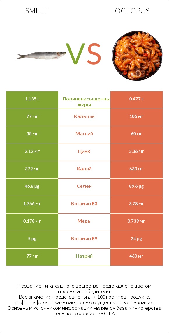 Smelt vs Octopus infographic