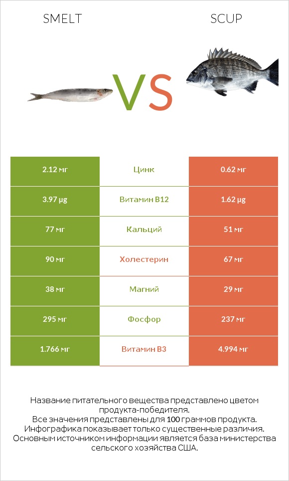 Smelt vs Scup infographic