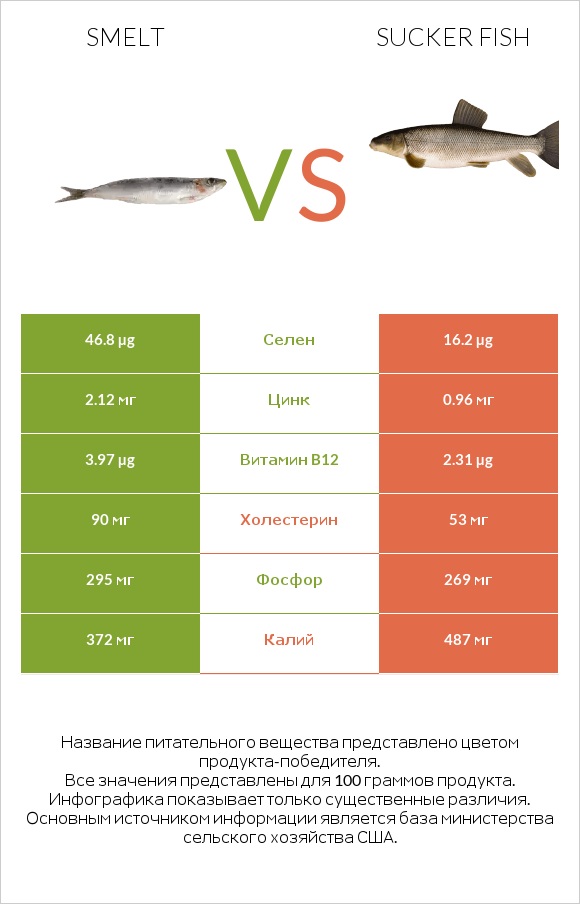 Smelt vs Sucker fish infographic