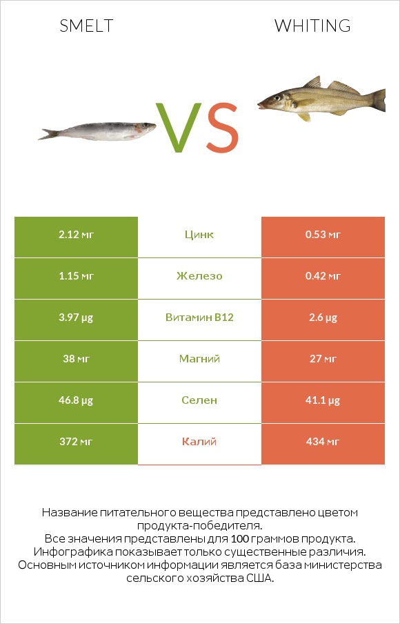 Smelt vs Whiting infographic