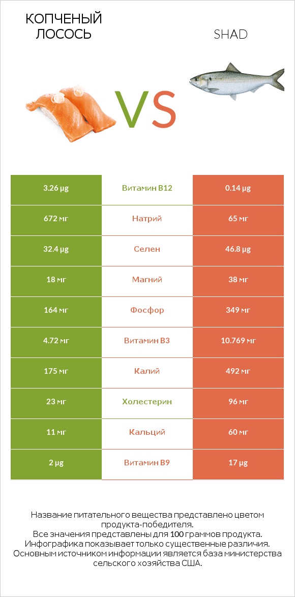 Копченый лосось vs Shad infographic