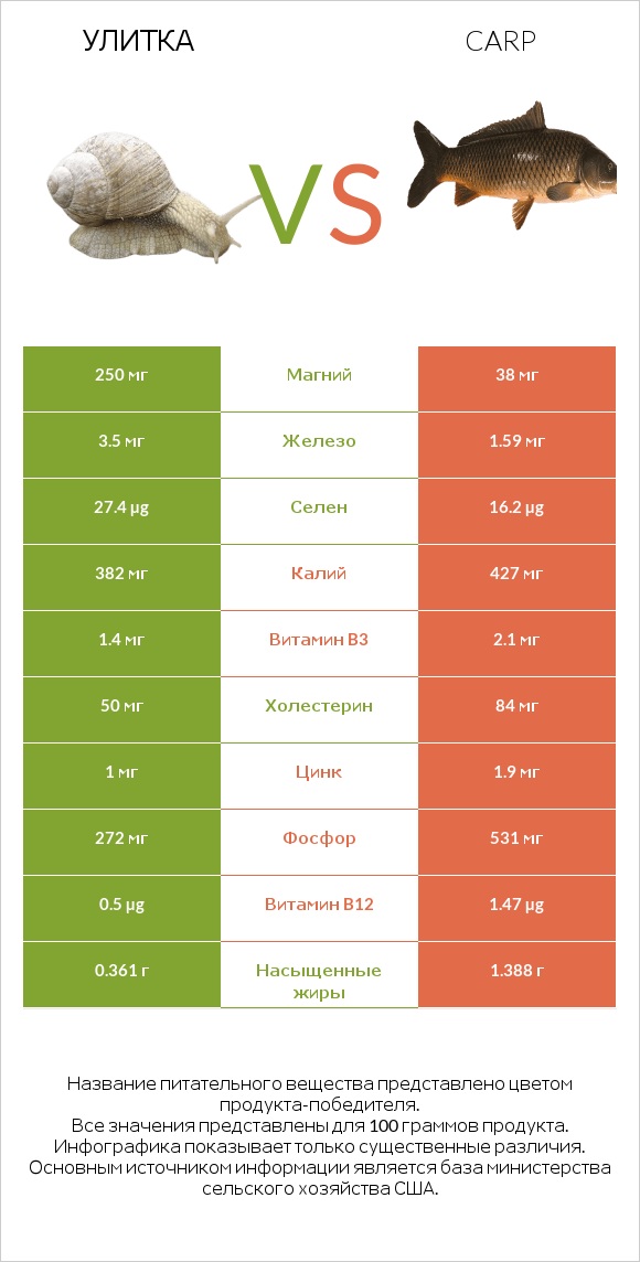 Улитка vs Carp infographic