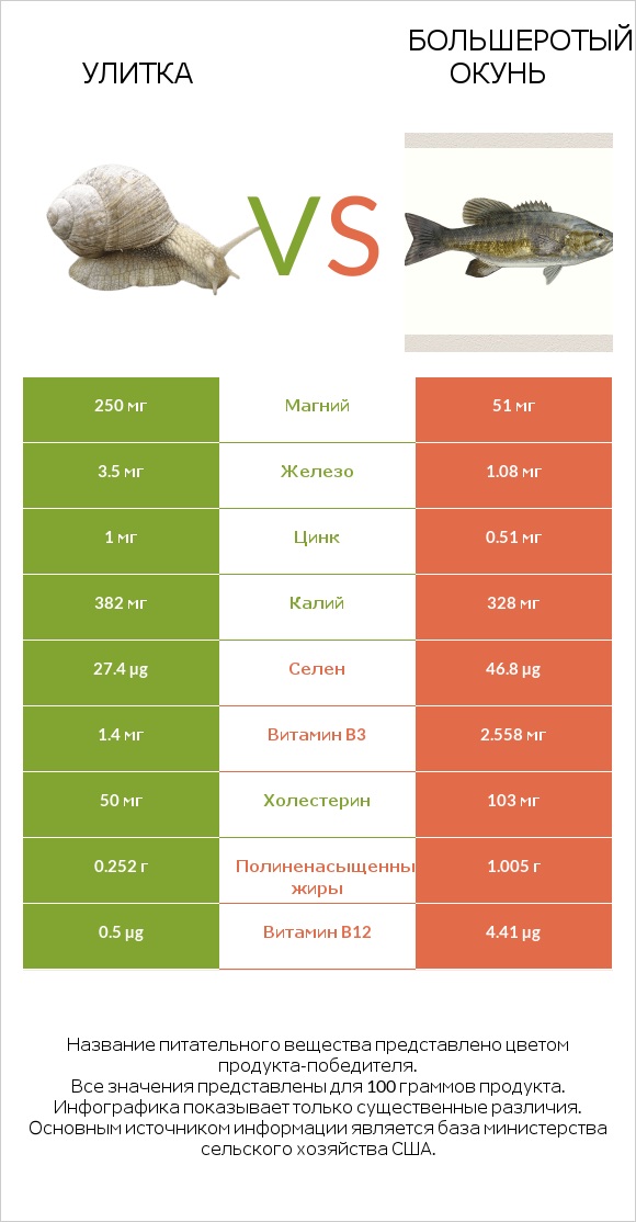 Улитка vs Большеротый окунь infographic