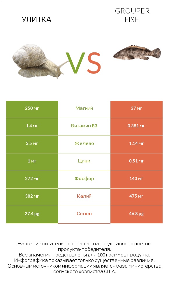 Улитка vs Grouper fish infographic