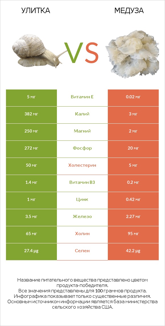 Улитка vs Медуза infographic