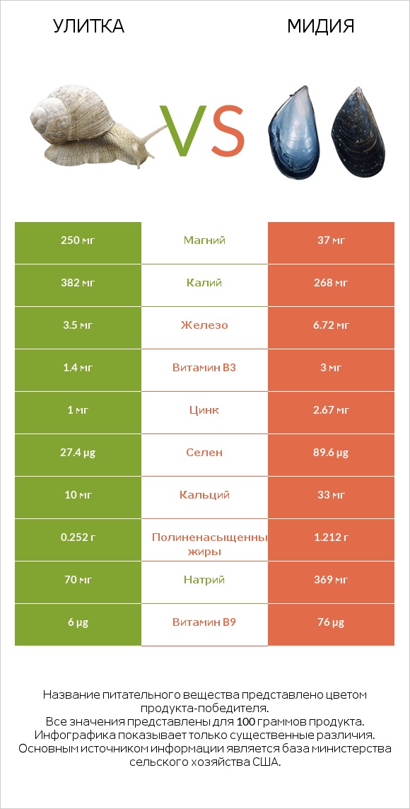 Улитка vs Мидия infographic